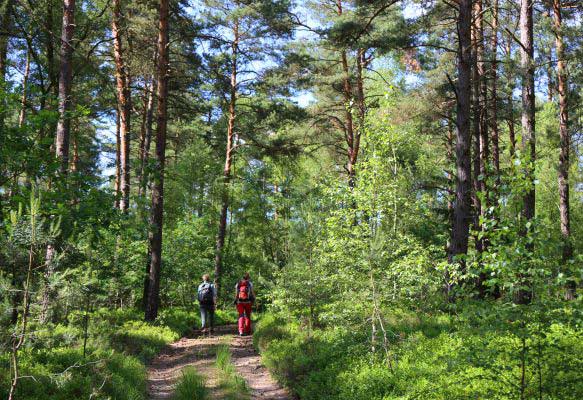 On a survey walk in one of the many forests in the study site